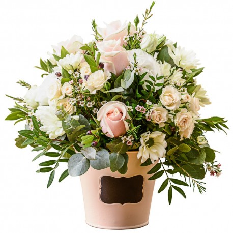 Dawn Oasis Arrangement