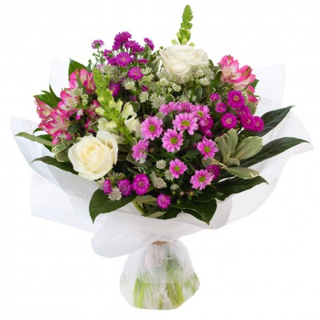 Lovely in LIlac