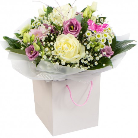 Zoe Handtied Aquabox